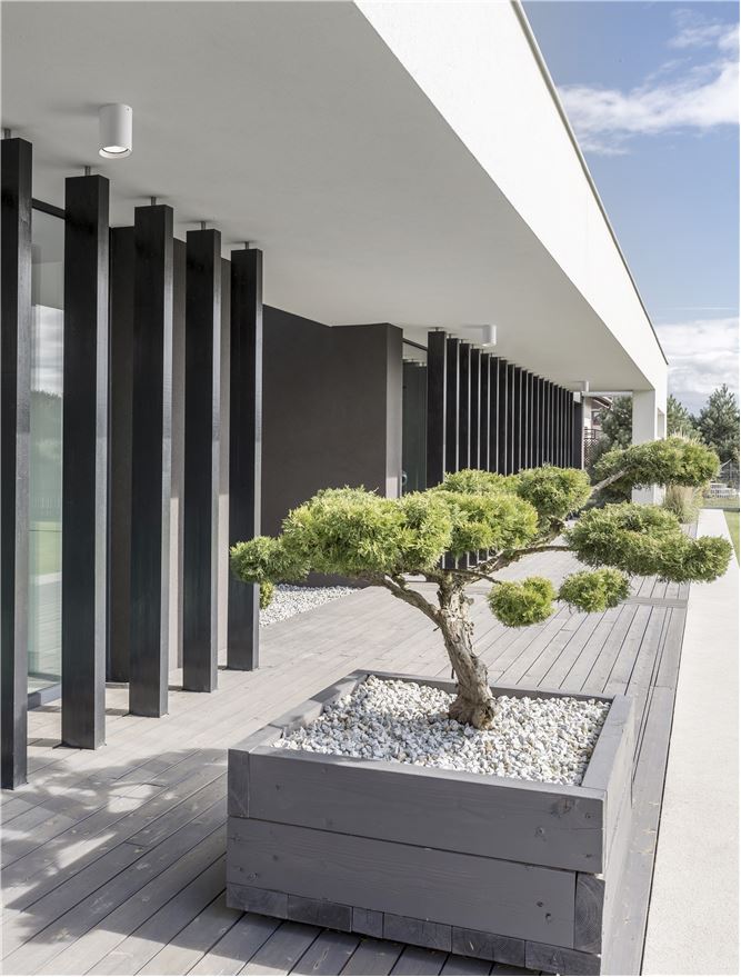 Plafoniera DARA White Aluminium Glass Diffuser LED 9W 3000K Diam: 8 cm IP54 Nova Luce