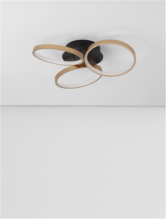 Plafoniera ELIZE Black & Brass Gold 28W Diam. 55 Nova Luce