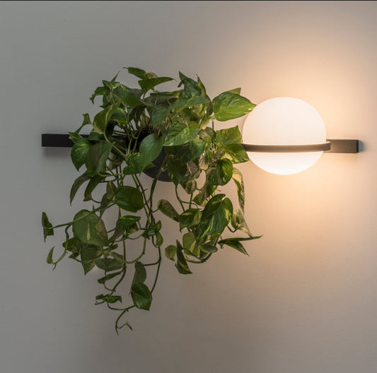 Aplica de perete Palma -Vibia