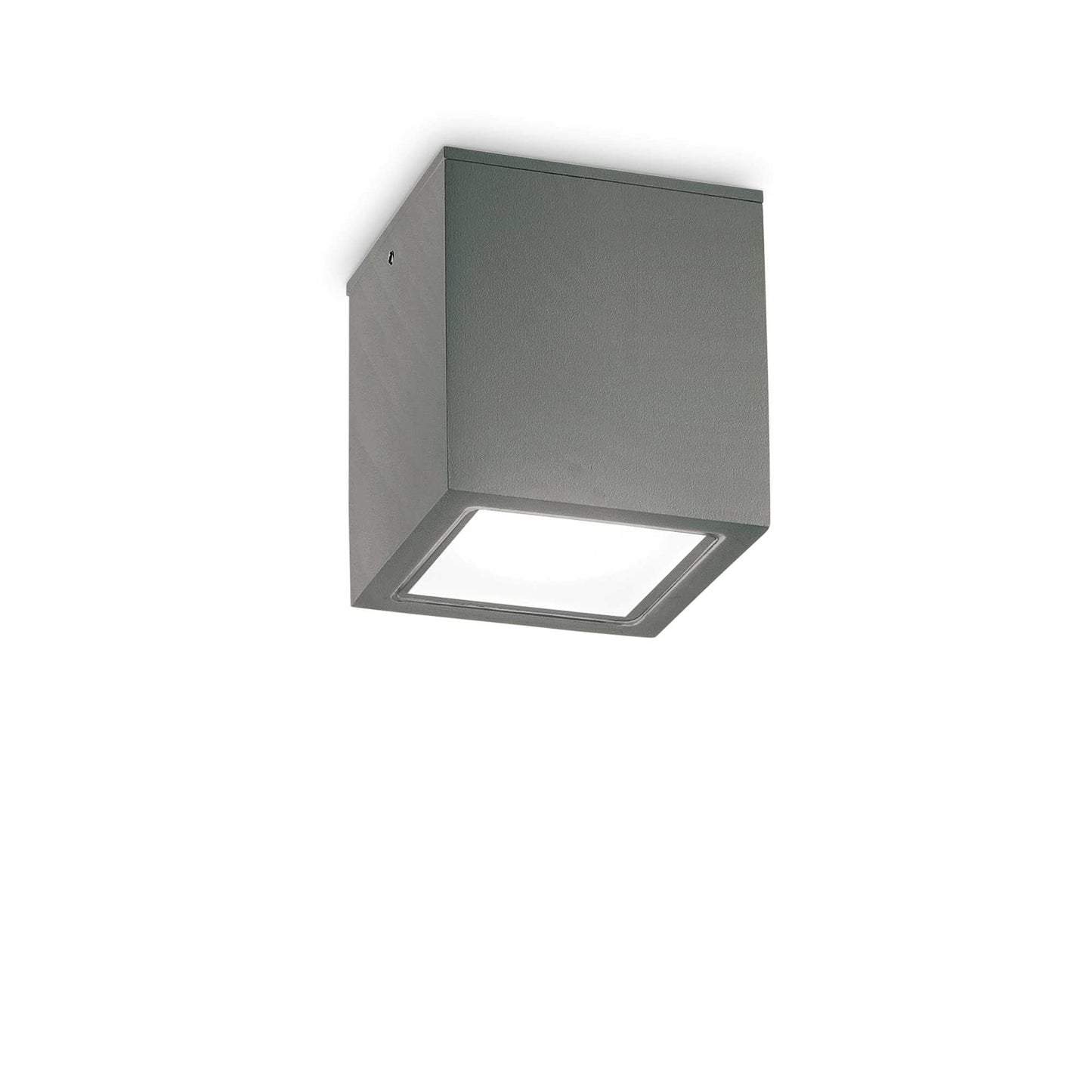 Plafoniera de exterior TECHO PL1 BIG Ideal-Lux