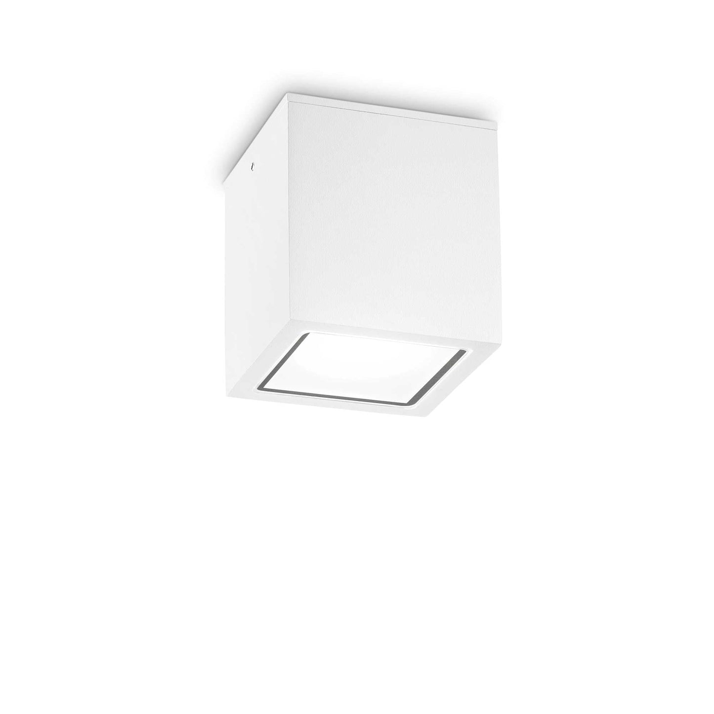 Plafoniera de exterior TECHO PL1 BIG Ideal-Lux