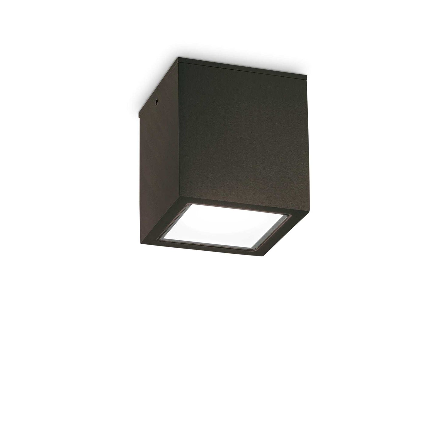 Plafoniera de exterior TECHO PL1 BIG Ideal-Lux